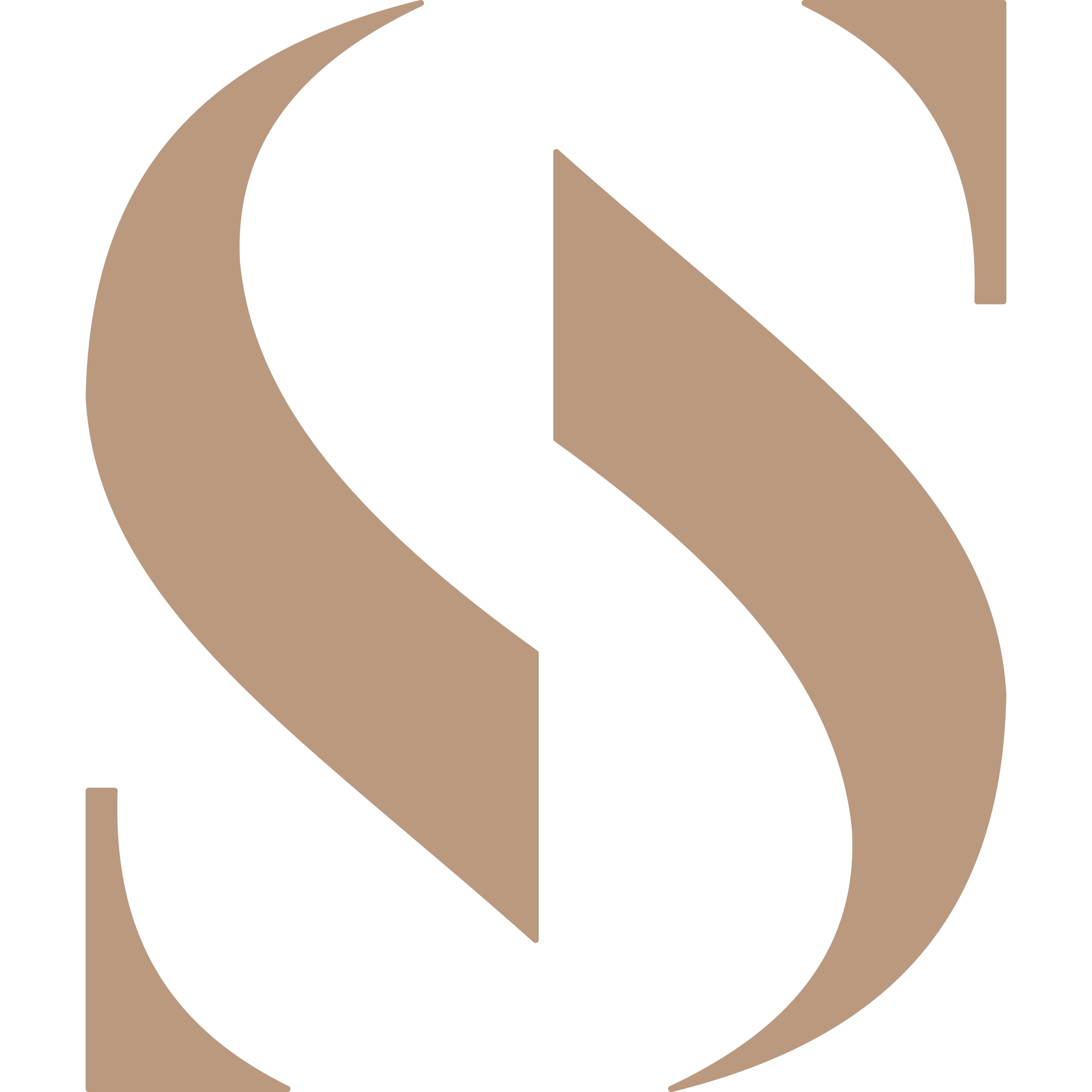 SS Logo